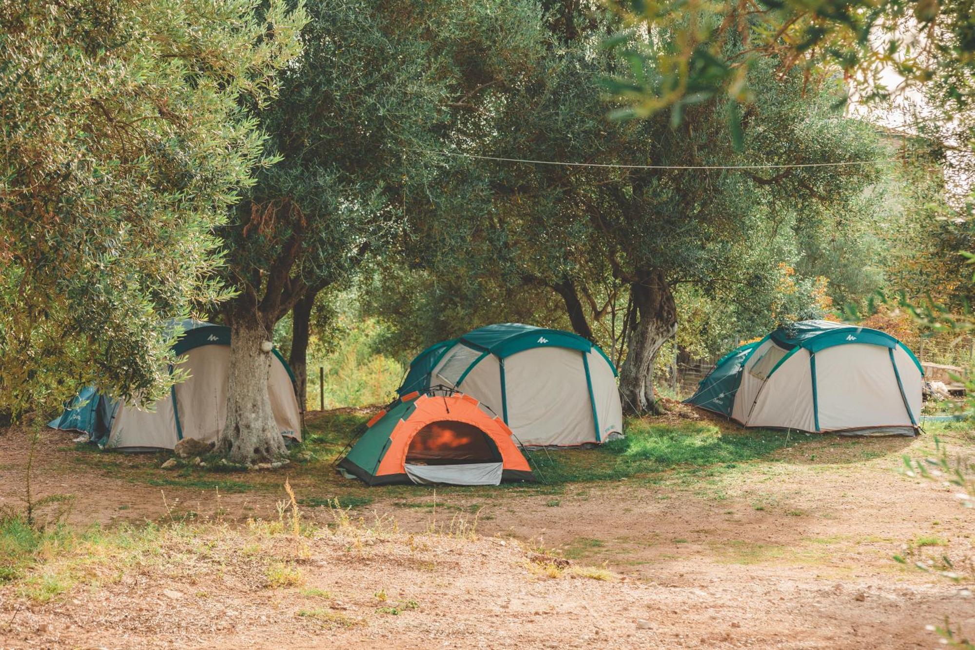 Olive Camping Otel Himarë Dış mekan fotoğraf