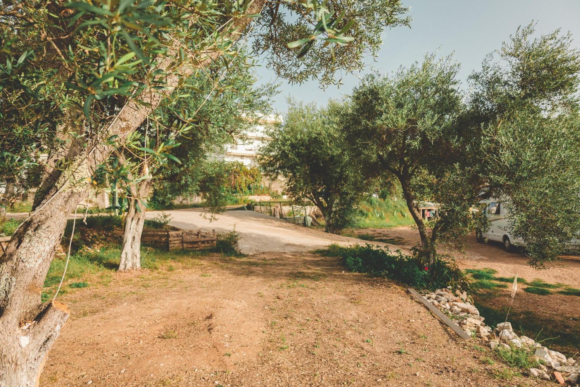 Olive Camping Otel Himarë Dış mekan fotoğraf