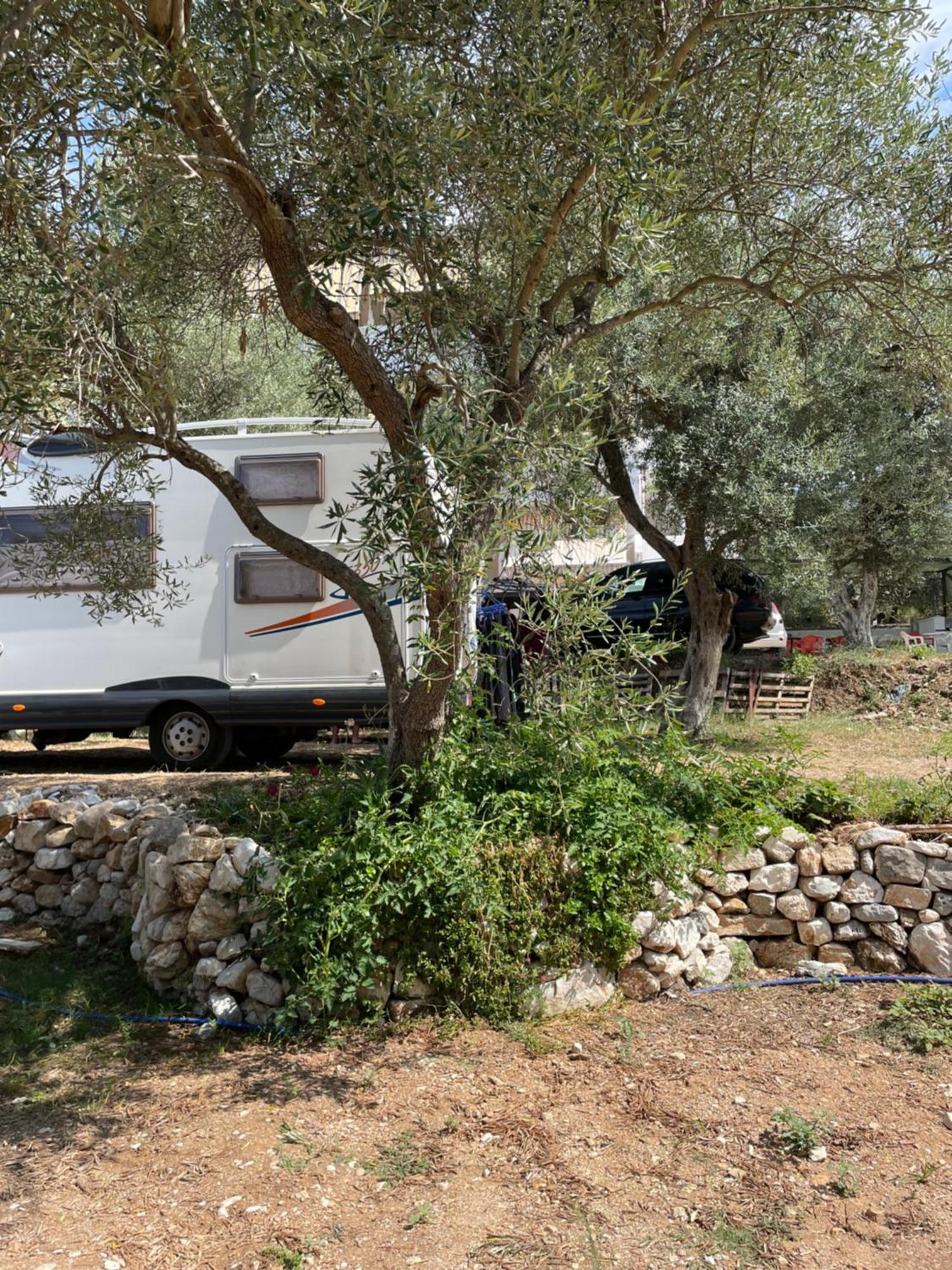 Olive Camping Otel Himarë Dış mekan fotoğraf